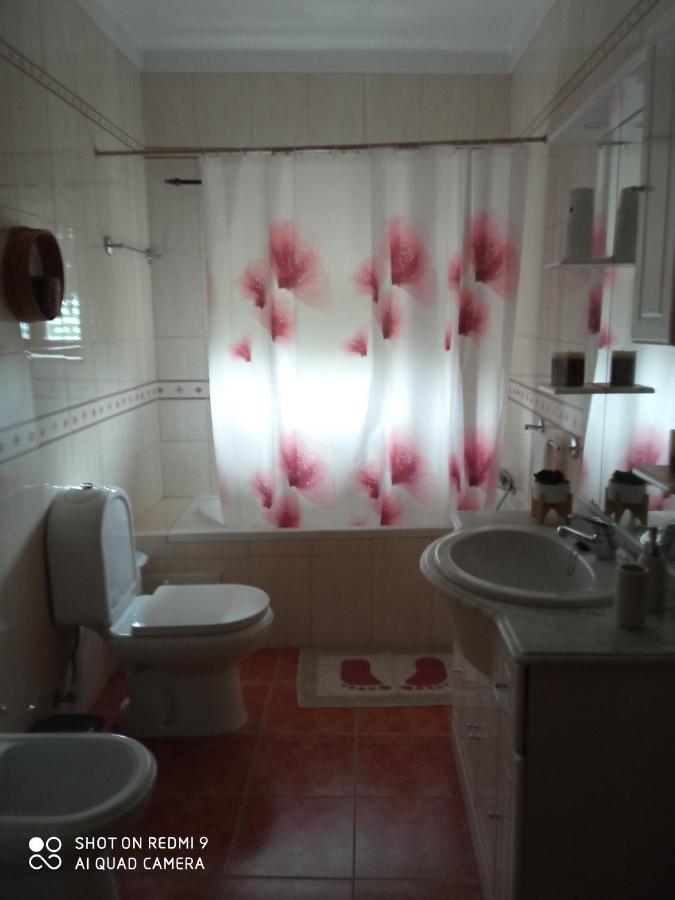 Casa Dos Grilos Penacova