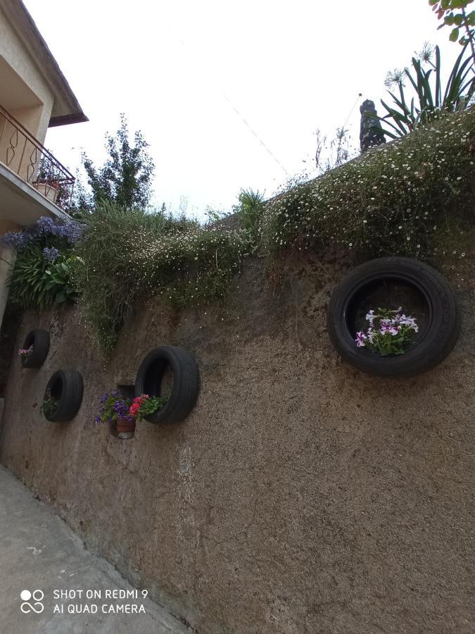 Casa Dos Grilos * Penacova
