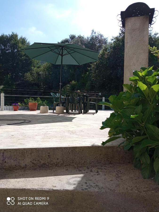 Hébergement de vacances Casa Dos Grilos