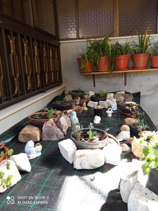 Hébergement de vacances Casa Dos Grilos Penacova