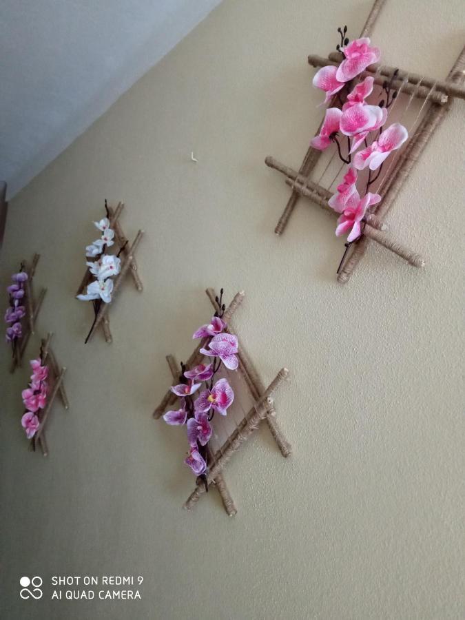 Hébergement de vacances Casa Dos Grilos Penacova